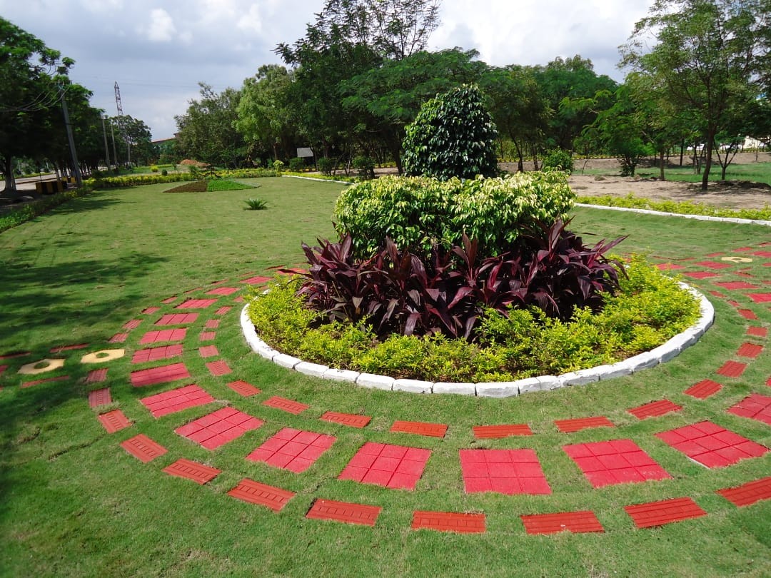 Garden Care & Maintenance