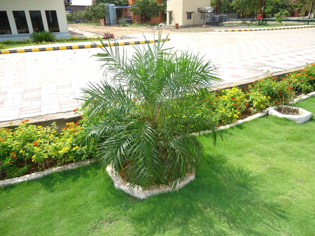 Landscape Architecture