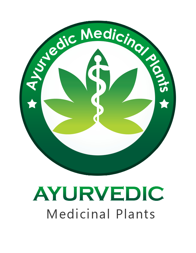 AYURVEDIC MEDICAL PLANTS