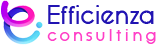 EFFICIENZA CONSULTING